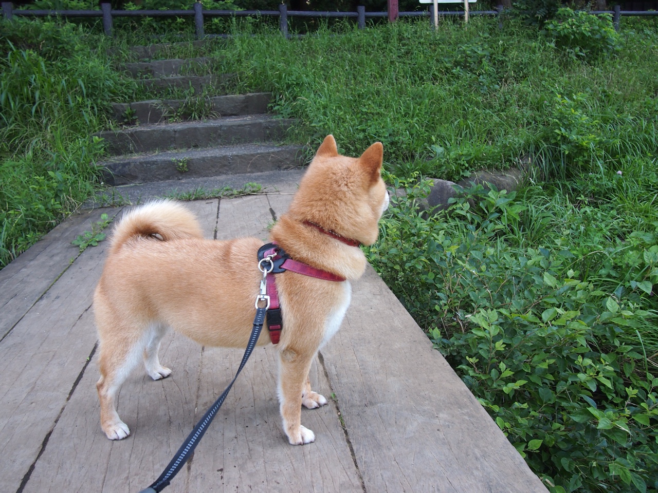 巴拉多利德取得胜利，豪取联赛第二位，巴拉多利德保级