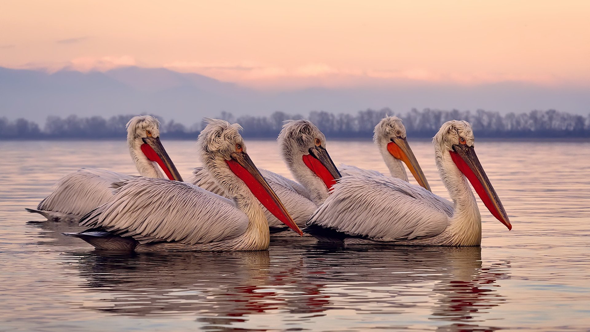 步行者压哨战胜凯尔特人,西部决赛中哈利伯顿创下生涯新高,哈利伯顿投篮