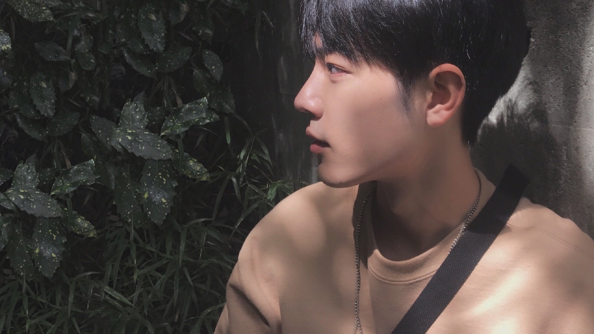 步行者压哨战胜凯尔特人,西部决赛中哈利伯顿创下生涯新高,哈利伯顿投篮