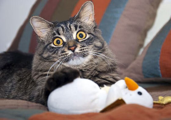 热火替补席贡献有限，球队深度成疑，热火休赛期引援