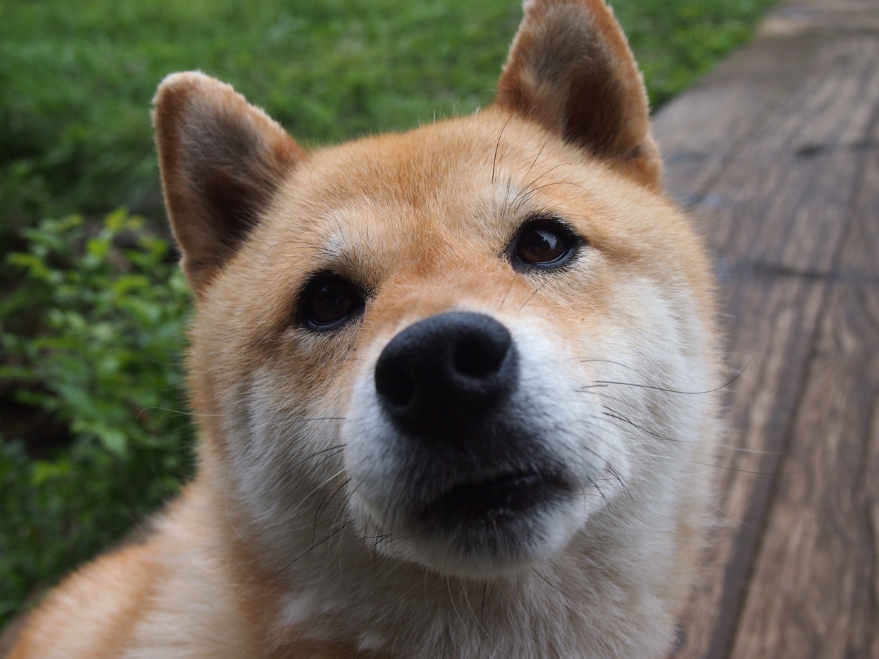 皇马前锋伤愈归队,贝尔状态回勇,皇马贝尔退役了吗