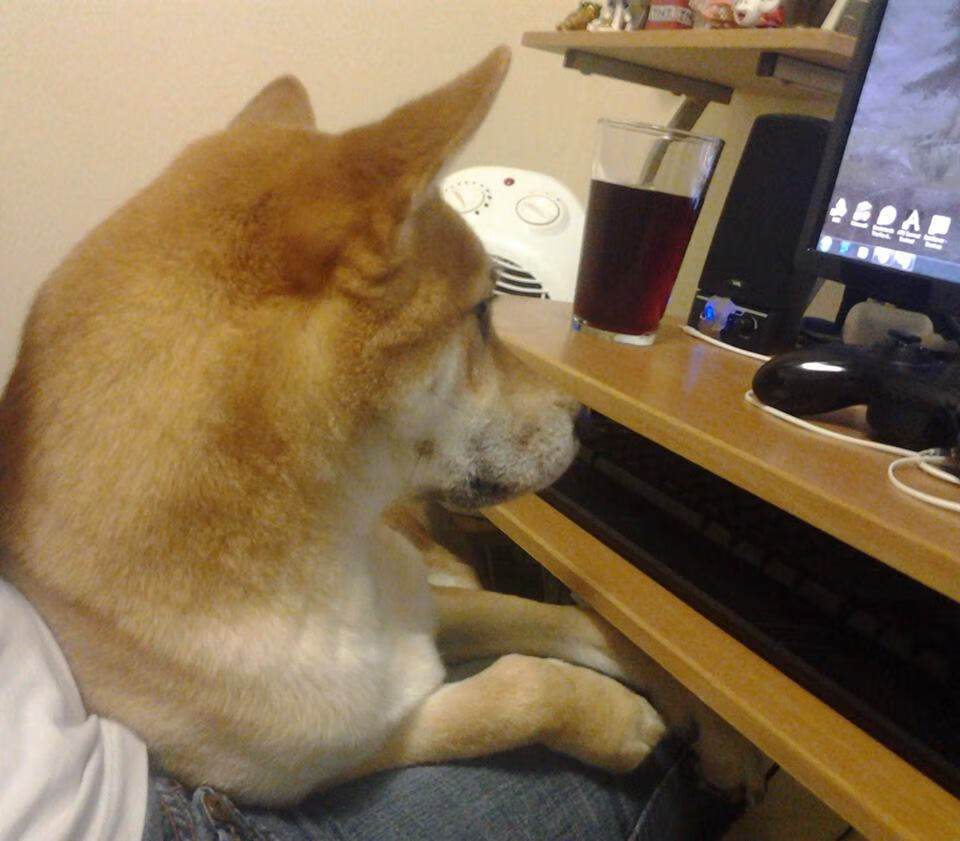 爱游戏下载-篮网连败压力山大杜兰特受伤，杜兰特篮网打了几场