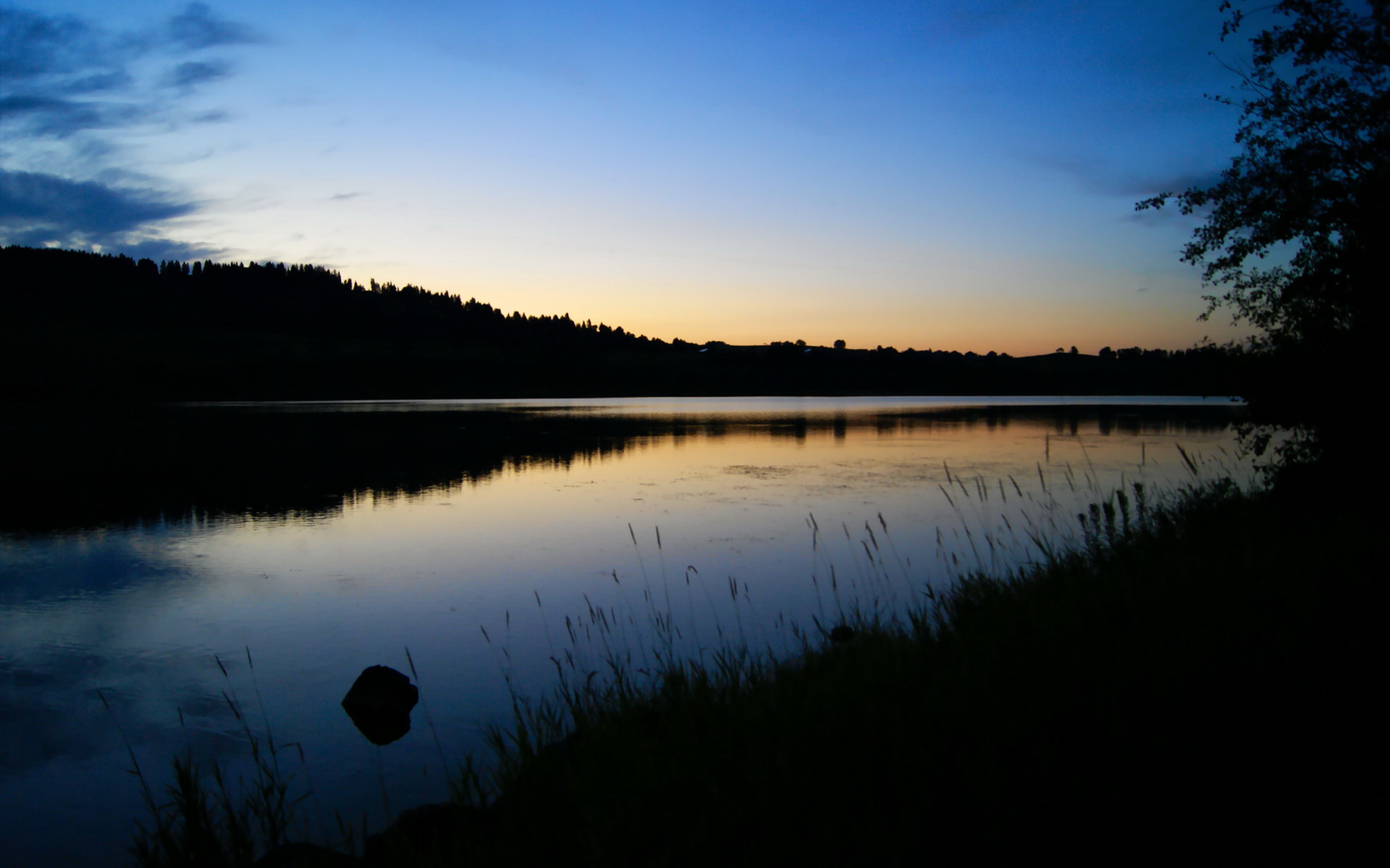 荷兰队长领衔攻城拔寨,助球队连胜,荷兰 队员