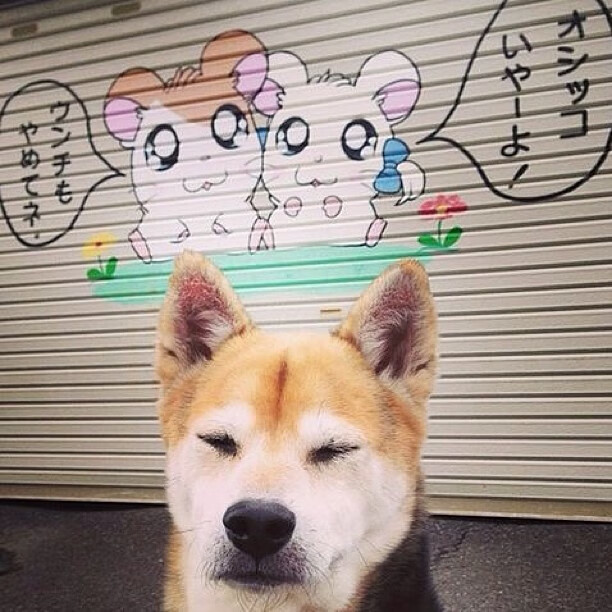 爱游戏体育app-逆转滑雪世界杯总积分榜形势