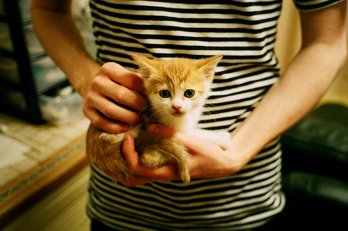 NBA球员运动心理训练与实战表现转化机制,nba心理素质强的球员