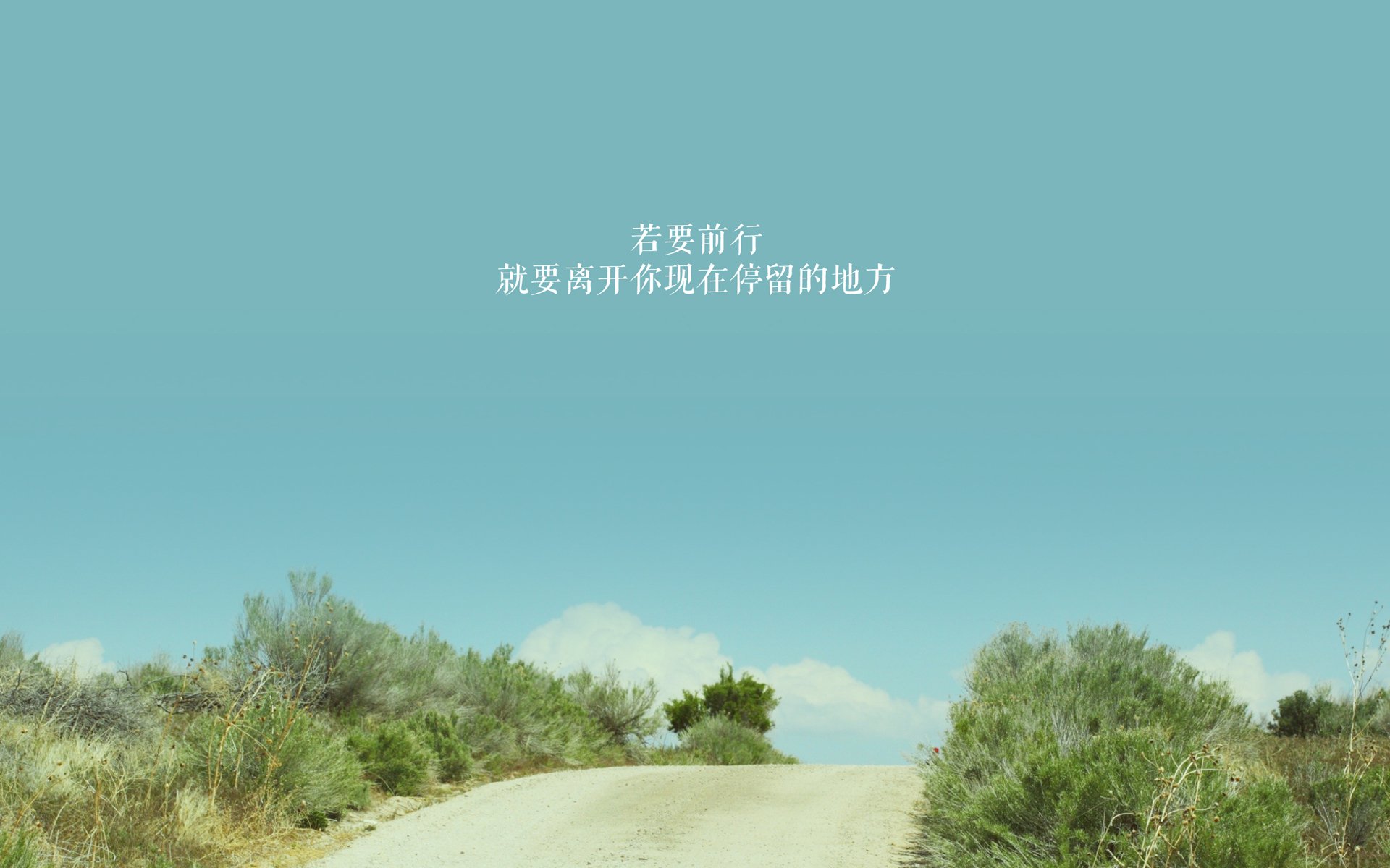 NBA球队跨赛季战术延续性与战绩稳定性分析,nba新赛季转会汇总