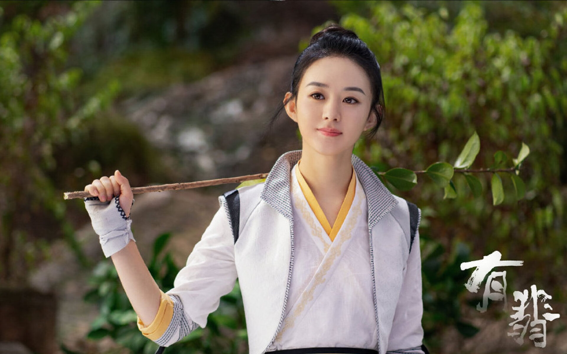 中超俱乐部年度财务投入趋势,中超俱乐部每年投入