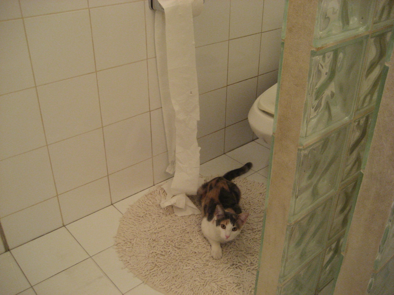 女足超级联赛江城女足勇夺冠军,女足比赛成绩