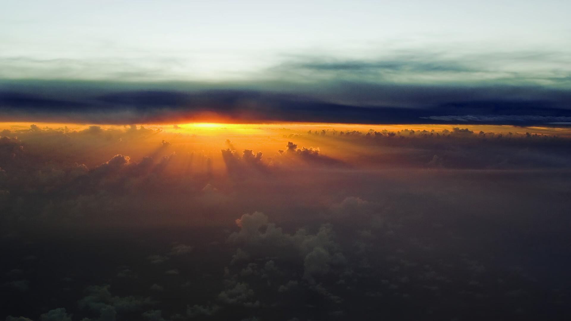 “2025世界游泳锦标赛：水上芭蕾展示别样优雅与力量”