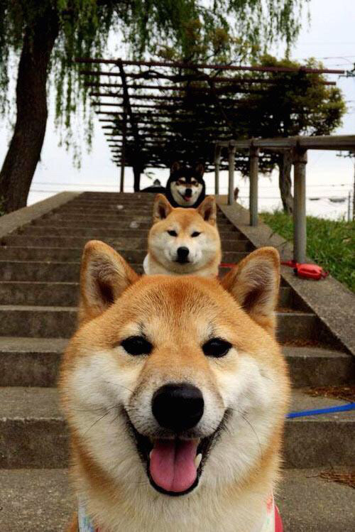 爱游戏电竞官网-世界杯预选赛中国青年队晋级 球迷期待新星崛起，2022世界杯预选赛中国队怎么样才能出线