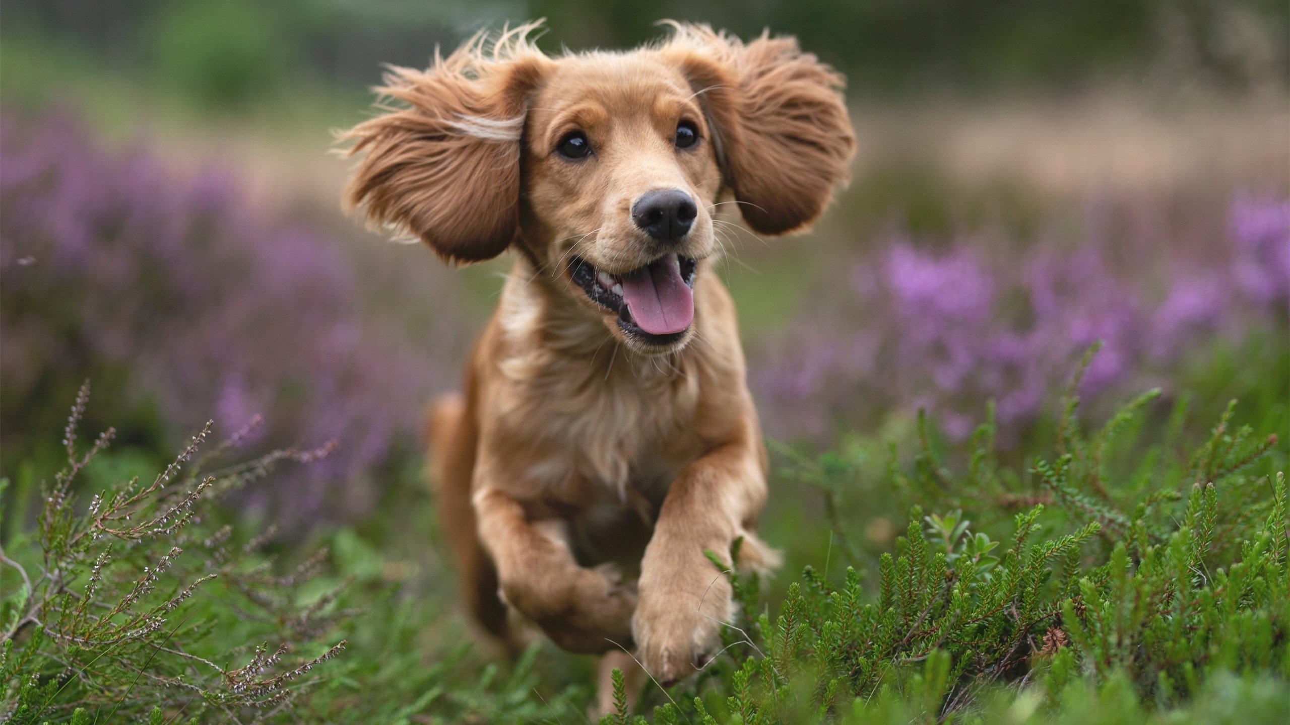 世界杯预选赛中国青年队晋级 球迷期待新星崛起,2022世界杯预选赛中国队怎么样才能出线