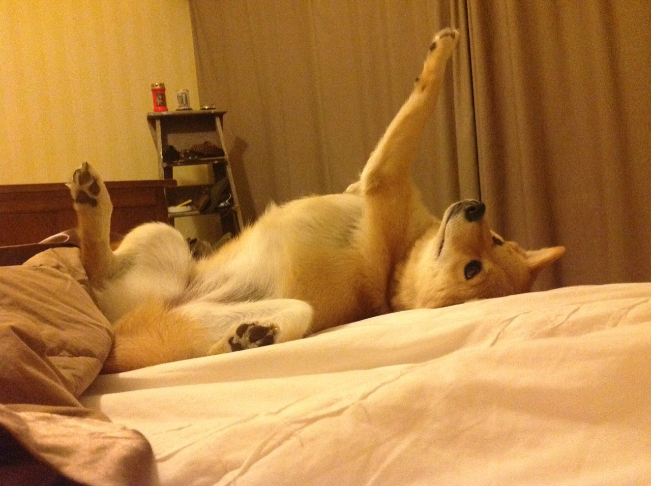 爱游戏娱乐平台-中国沙滩排球队亚运集训正式开始，中国 沙滩排球