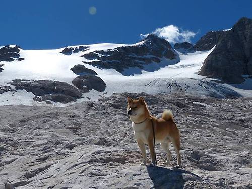 印度队2024年世界杯:从经验到信心的全面提升,印度1950世界杯