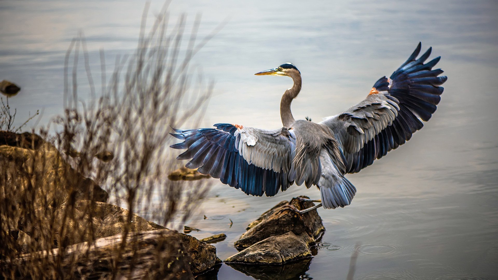 世界杯崭新战术：细节决定成败，奇思妙想引领潮流，世界杯方面