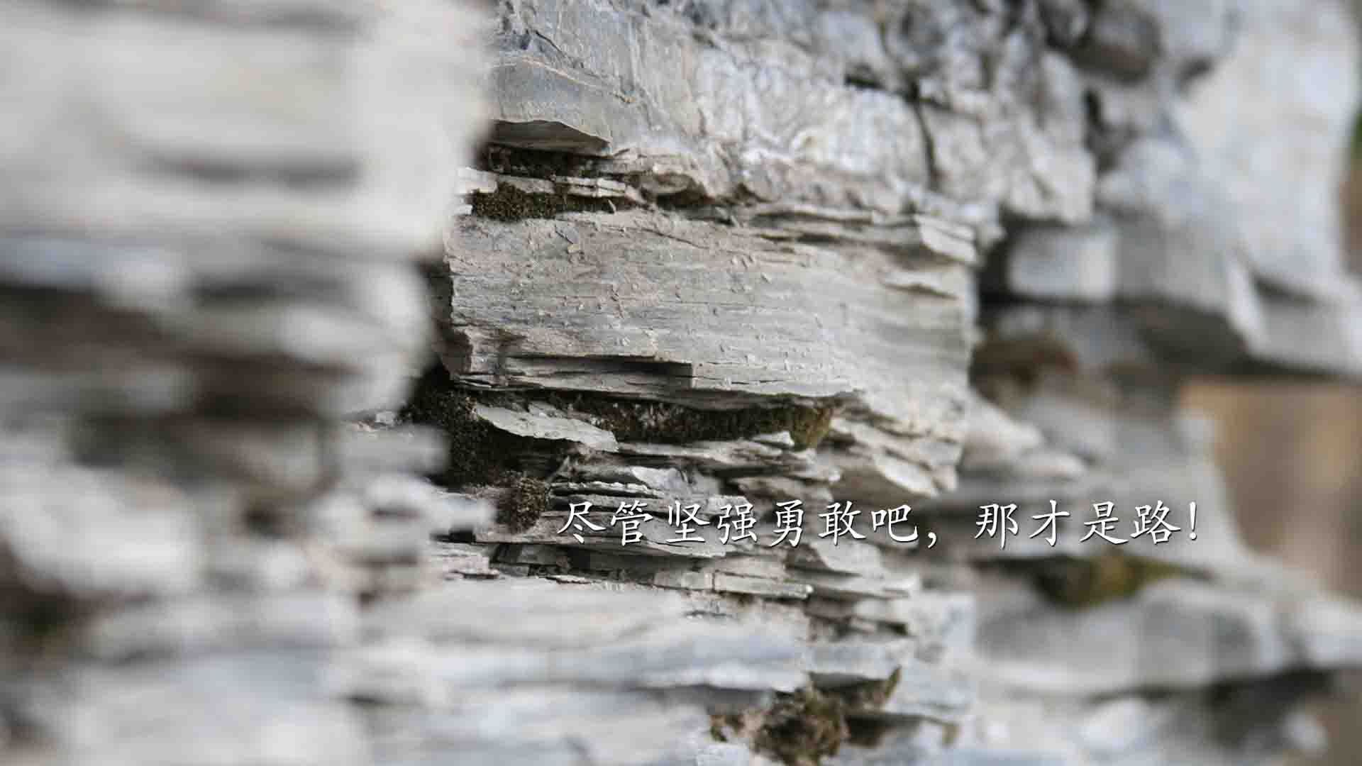 AYX体育-中国足球职业俱乐部开设青训家庭开放日，中国足球协会足球青训中心