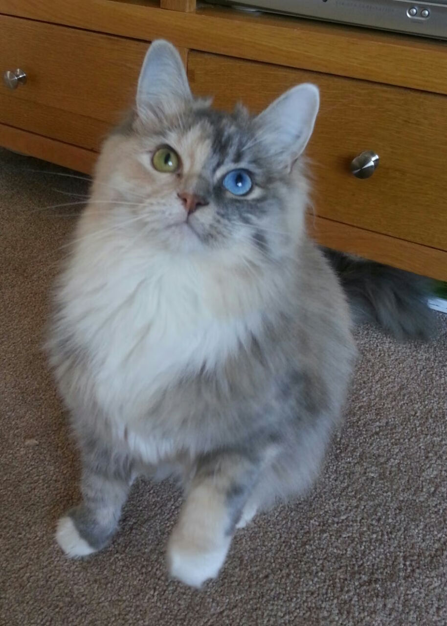 爱游戏中国官方网站平台-主场氛围持续火爆观众热情成为球队最坚实的后盾支持