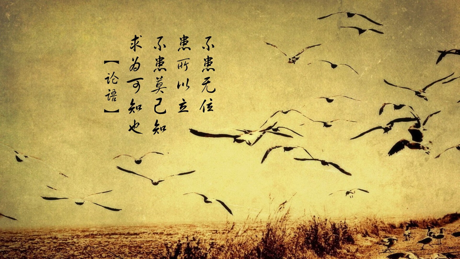 球队更换战术核心,轮换阵容迎来新格局,轮换球员和替补球员