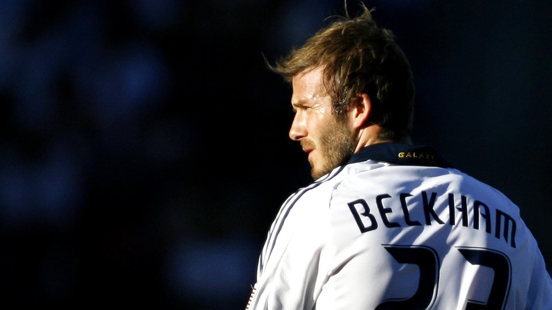 伊朗马术协会建立马匹基因数据库，促进马匹选育与训练。，伊朗马球