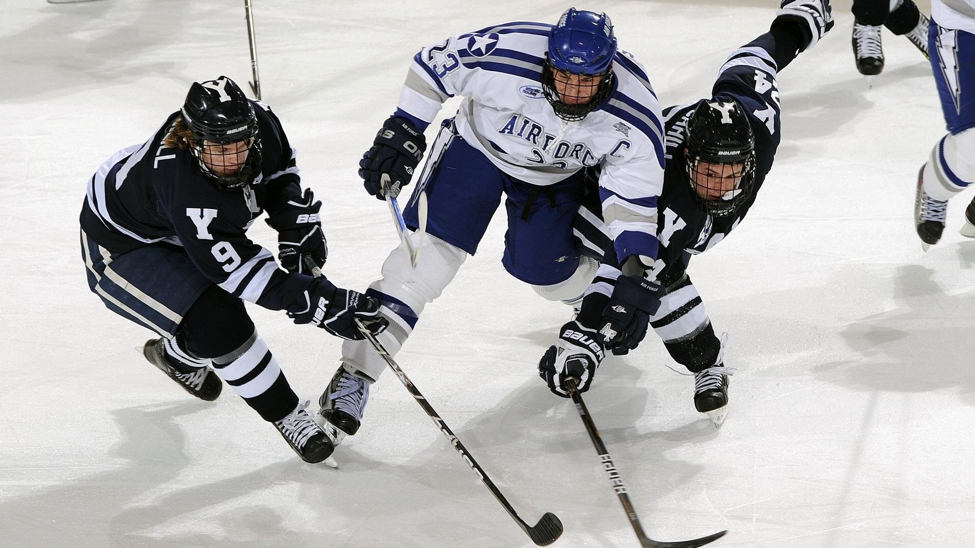 瑞士马术协会建立马匹基因数据库，促进马匹选育与训练。，瑞典 马